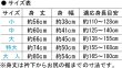 画像5: お祭り袖なし法被：半纏帯別売 　黒・赤 (5)