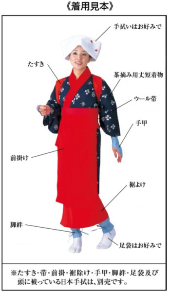 画像2: 国産　茶摘み用丈短着物（早乙女衣装）　赤衿 (2)