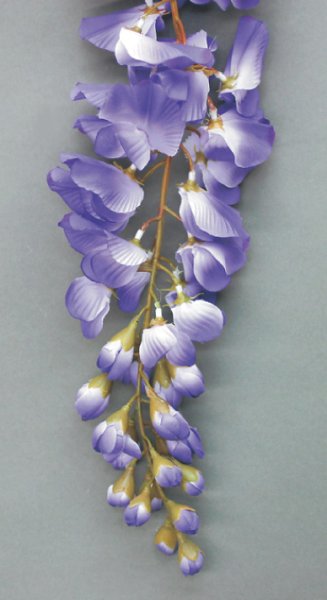 画像2: 踊り用 高級持ち枝 藤大枝 (3本房) (2)