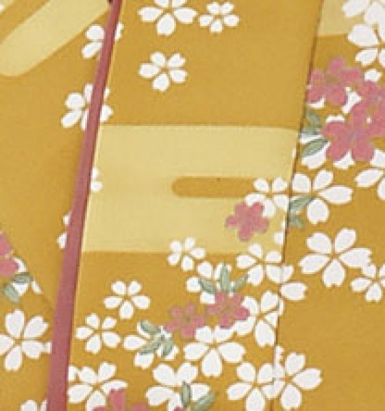 画像2: お取り寄せ商品 二部式着物【袷仕立】 霞・小花 (2)