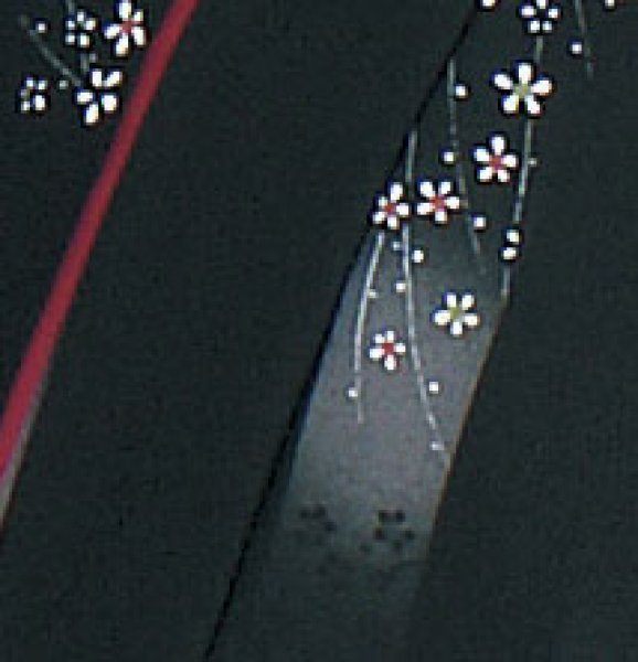 画像2: お取り寄せ商品　二部式着物【袷仕立】 (2)