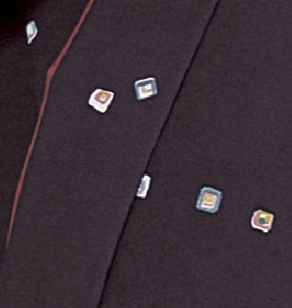 画像2: お取り寄せ商品　二部式着物【袷仕立】 (2)