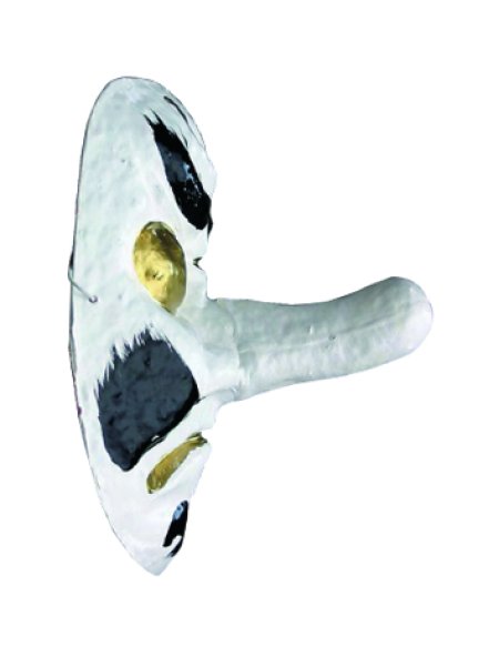 画像2: 白天狗(てんぐ)のお面(イベントにも最適な本格派) (2)