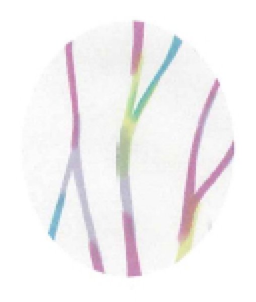 画像2: 作務衣・上着【色枝流れ・白】M・L・LL寸 (2)