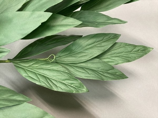 画像3: 踊り用 高級持ち枝 藤 (7本房) (3)