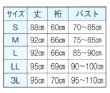 画像2: 白 丈長　鯉口シャツ　【大人用】　Ｓ・Ｍ・Ｌ・ＬＬ・３Ｌ寸 (2)