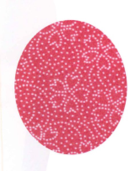 画像2: 和風スカート【鮫桜・茜色】M・L寸 (2)