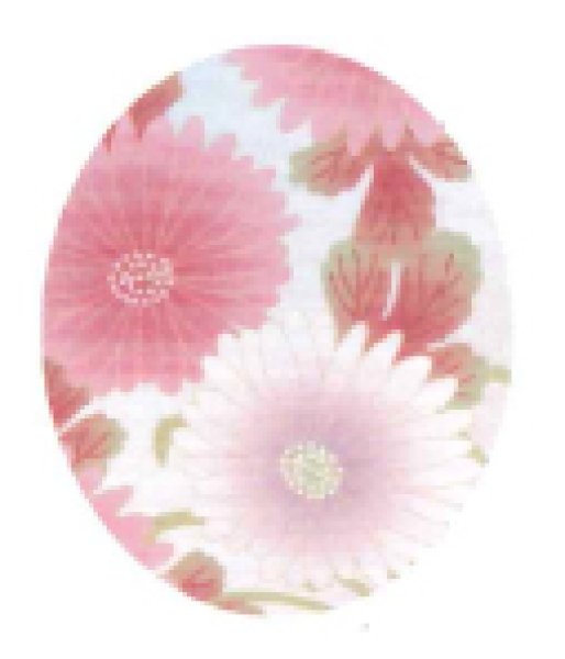 画像3: 茶衣着上下セット(スカートタイプ)【華菊】M・L寸 (3)