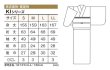 画像4: 【夏用　女仕立】駒絽着物　葡萄・銀色【受注生産品】 (4)