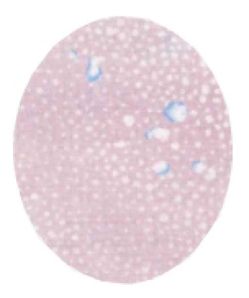 画像4: 【夏用 女仕立】本手染め紗紬着物 花びらあられ【受注生産品】 (4)