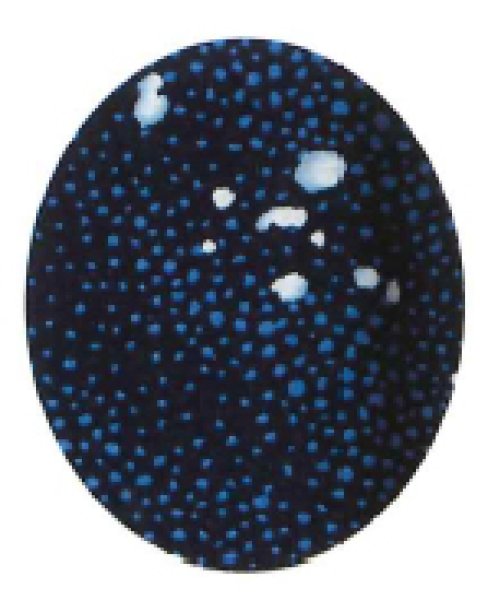 画像5: 【夏用 女仕立】本手染め紗紬着物 花びらあられ【受注生産品】 (5)