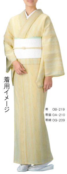 画像3: 【夏用 女仕立】紗紬着物 清流【受注生産品】 (3)