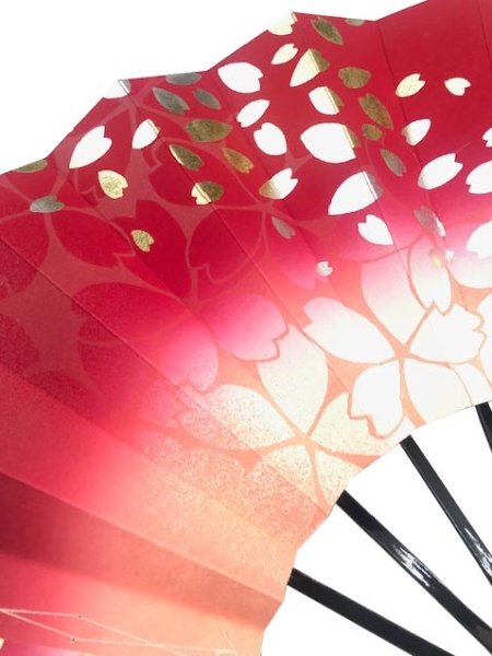 画像4: 舞扇 黒塗骨 9寸5分(約28.8cm) 桜 扇子箱なし (4)