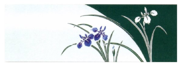 画像5: 踊り用 本染手拭い 【藤・桜・七草・菖蒲・菜の花・水芭蕉・朝顔・萩・コスモス】(1本単位) s5103 s5115 s5120 s5121 s5131 s5132 s5133 s5134 s5135 (5)