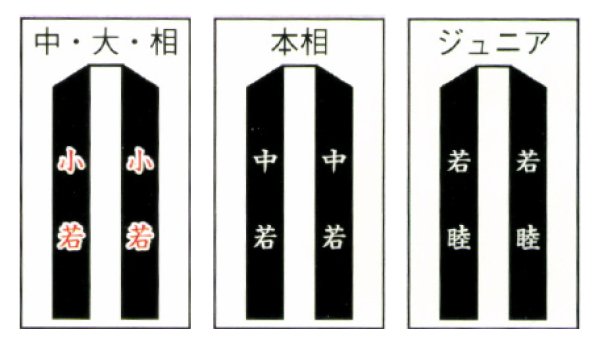 画像4: 子ども用お祭り法被 【巴・獅子毛に祭】 濃紺 (青系) (4)