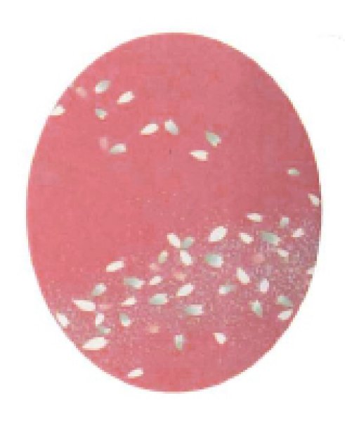 画像5: 【女単衣仕立】着物 桜横流吹き 紫・ピンク【受注生産品】KI-1032 KI-1002 (5)