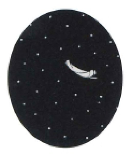 画像5: 【女単衣仕立】着物 笹舟 紺・エンジ【受注生産品】KI-1065 KI-1066 (5)