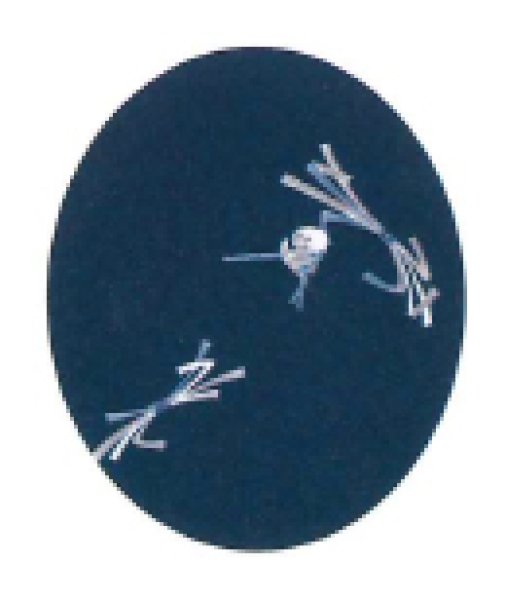 画像6: 【女単衣仕立】着物 華結び ピンク・紺【受注生産品】KI-1033 KI-1034 (6)