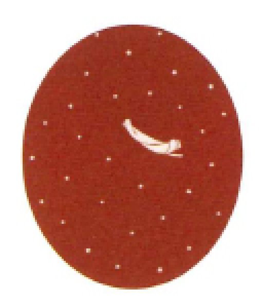 画像6: 【女単衣仕立】着物 笹舟 紺・エンジ【受注生産品】KI-1065 KI-1066 (6)