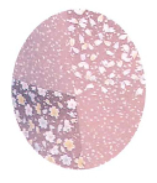 画像2: 【本手染め 女単衣仕立】着物 花市松・ピンク【受注生産品】 (2)