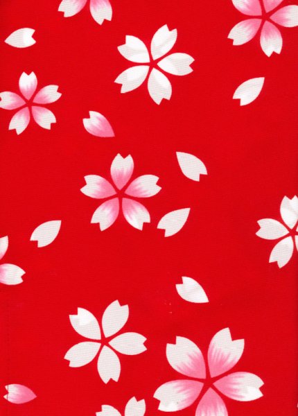 画像2: 袴下着物（男単衣仕立）　桜 (2)