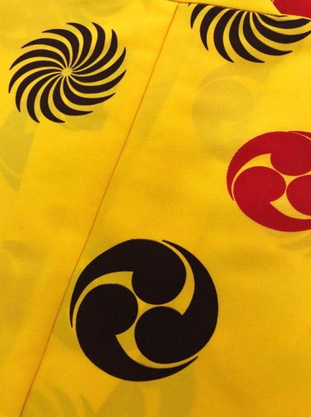 画像2: 袴下着物(男単衣仕立) 獅子毛・左三つ巴 (2)