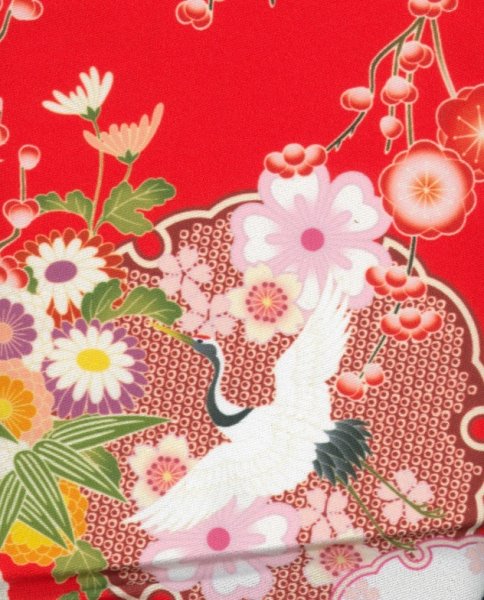 画像4: よさこいコスチューム(メンズ)赤・黒 (4)