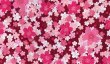 画像3: 鯉口シャツ　【エンジ地に桜・黒地に桜】　Ｓ・Ｍ・Ｌ・ＬＬ・３Ｌ寸 赤系・黒系 (3)