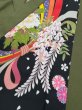 画像3: よさこいコスチューム（レディース）緑系 (3)