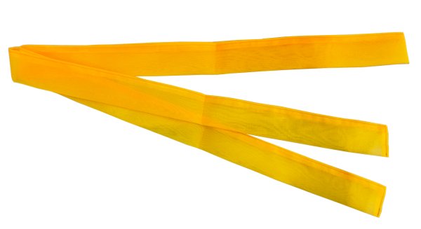 画像6: ポリエステル紗上衣【素袍（すおう）風踊り衣裳】箔加工 黄色 (6)