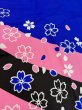 画像4: お祭り法被：半纏帯別売【桜】青 (4)