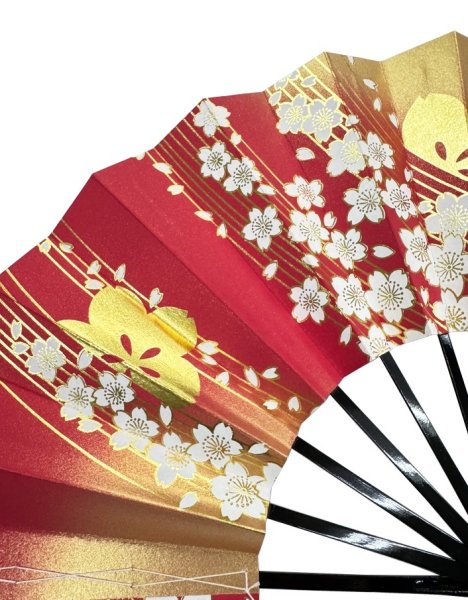 画像4: 舞扇　黒塗骨　９寸５分（約２８.８ｃｍ）　桜　扇子箱なし (4)